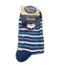 Men's Merino Wool Blend Striped Sock - Blue and White